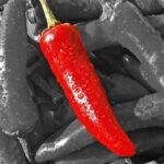 spice heat levels